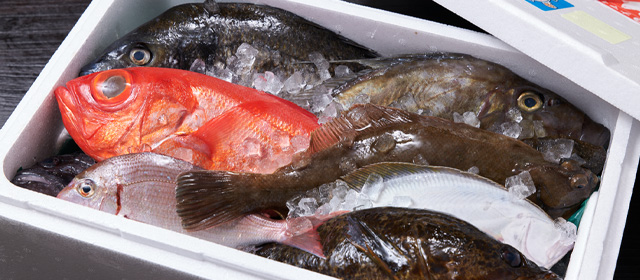 五島列島 鮮魚通販